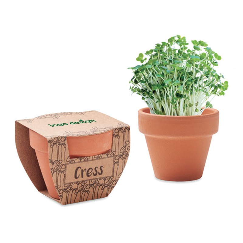 Terrakottapotte med karse